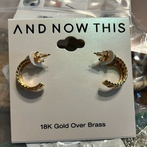 Gold Crocodile Hoop Earrings 18K Brass